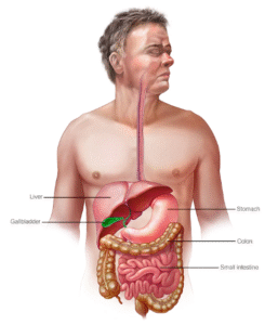 Dr. Bill Foley Lecture in Barcelona, Spain