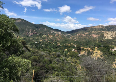 Completion Certificate