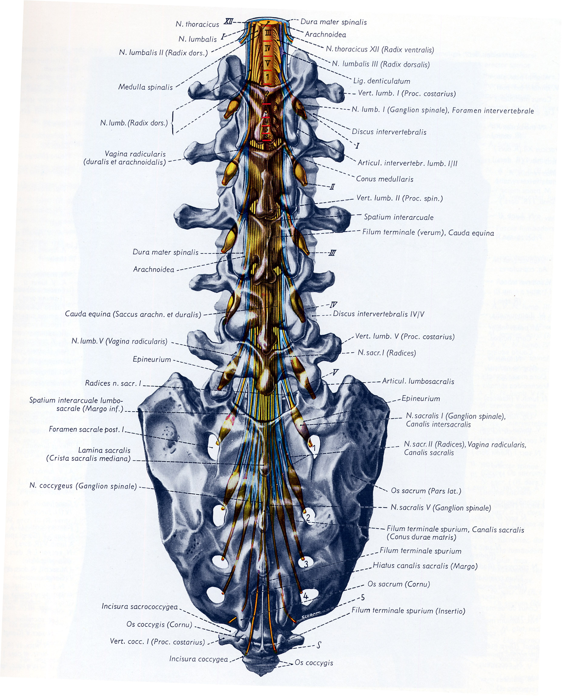 A Still-Sutherland Study Group